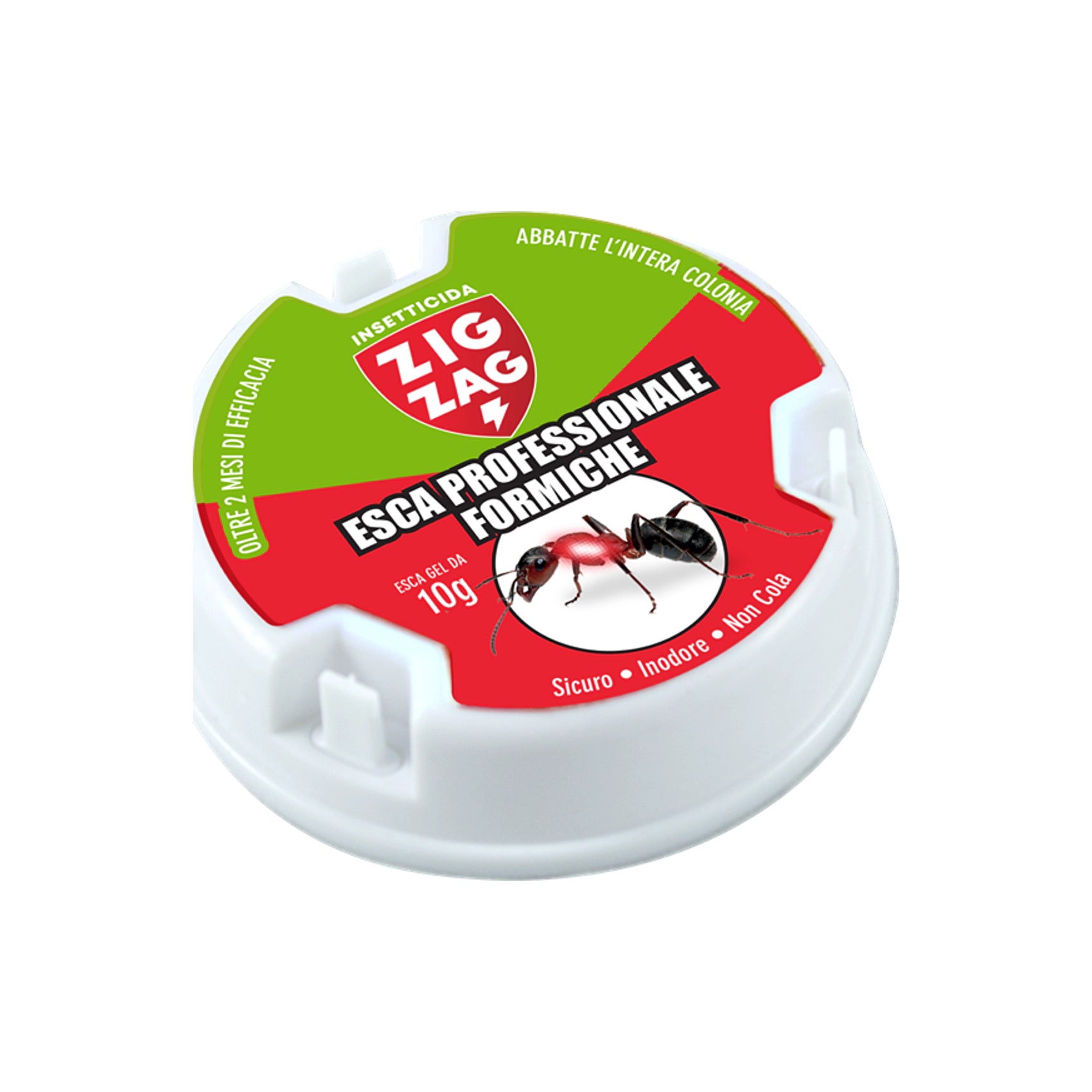 Deisa Ebano Zig-Zag Past za Mravlje 1 kos